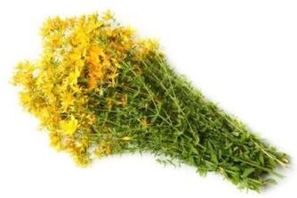 Herbal
