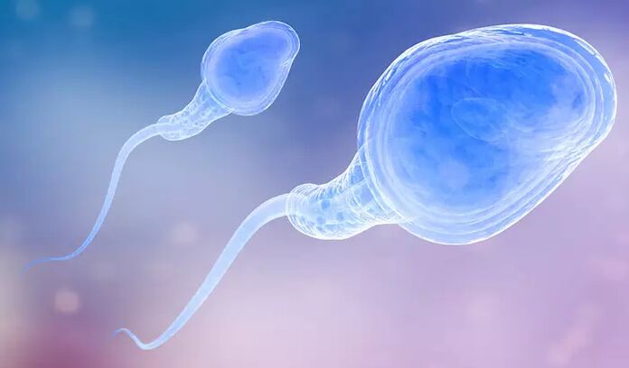 Spermatozoa mungkin hadir dalam pra-ejakulasi pria